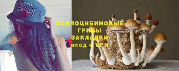а пвп мука Каменка