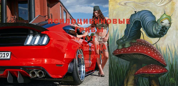 дурь Каменногорск