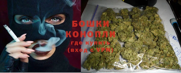 дмт Инта