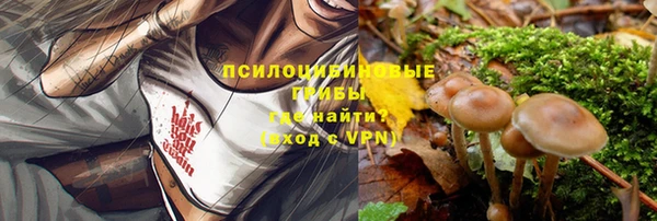 а пвп мука Каменка
