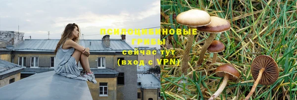 дмт Инта