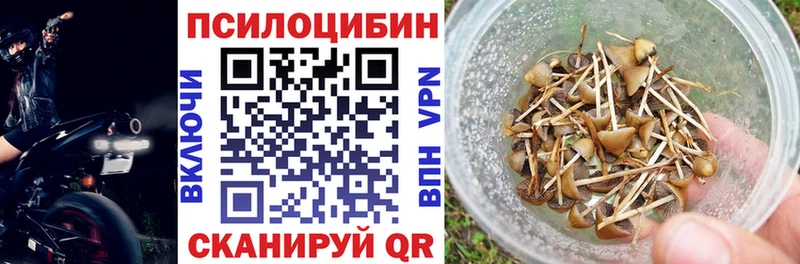 цены наркотик  МЕГА сайт  Псилоцибиновые грибы прущие грибы  Кондопога 